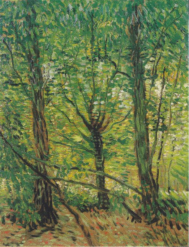 Vincent Van Gogh Trees and Undergrowth oil painting image